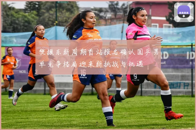 樊振东新周期首站报名确认国乒男单竞争格局迎来新挑战与机遇