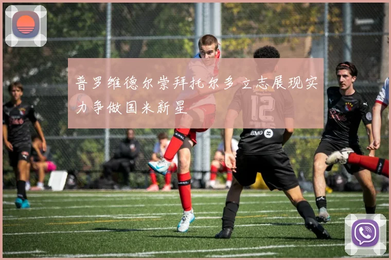 普罗维德尔崇拜托尔多立志展现实力争做国米新星