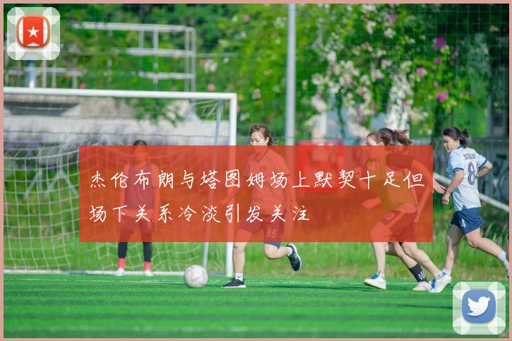 杰伦布朗与塔图姆场上默契十足但场下关系冷淡引发关注